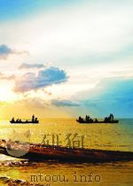 世纪“9·11”：《美国“9·11”委员会报告精华中译本 P250（ PDF版）