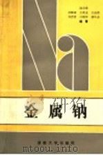 金属钠 1990 PDF电子版封面 7314003416 陈宗璋等编著
