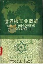 世界核工业概览  上（ PDF版）