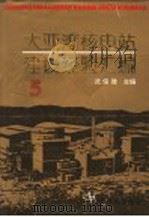 大亚湾核电站建设经验汇编 第5辑 1995 PDF电子版封面 750220993X 沈俊雄主编