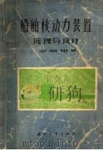 船舶核动力装置原理与设计 1980 PDF电子版封面 王兆祥,刘国健,储嘉康编著