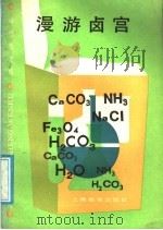 漫游卤宫 1987 PDF电子版封面 7532000931 林岸殊编著