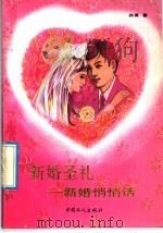 新婚圣礼：新婚悄悄话（ PDF版）