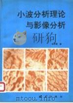 小波分析理论与影像分析 1998 PDF电子版封面 750300911X 朱长青著