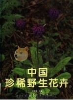 中国珍稀野生花卉 1 1996 PDF电子版封面 7503811986 冯国楣主编