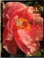 花 1983 PDF电子版封面 8010·13301 上海植物园编