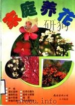家庭养花 1997 PDF电子版封面 7544209814 王川编著