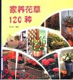 家养花草120种 1998 PDF电子版封面 754271435X 陆文浩编著