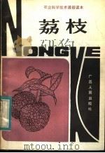 荔枝（1983 PDF版）