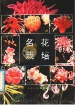 名花栽培（1989 PDF版）