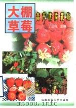 大棚草莓高产优质栽培（1998 PDF版）