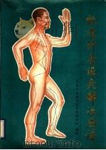 标准针灸经穴部位图谱 1990 PDF电子版封面 7506603357 中国中医研究院针灸研究所编制