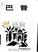 巴普 1989 PDF电子版封面 781009310X (印度)斯里帕特·纳来扬·潘特希著;蔡旭敏,古民康译