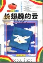 长翅膀的云 1996 PDF电子版封面 7543614669 孙震著