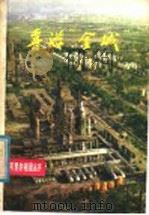 喜游“金城” 1980 PDF电子版封面 R12094·22 李敏杰著