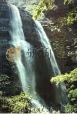 庐山导游 1979 PDF电子版封面 12110·7 《庐山导游》编写组编