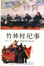 竹林村纪事   1989  PDF电子版封面  7504808083  郝光兴著 