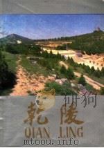 乾陵 1989 PDF电子版封面 7541800902 张永祥
