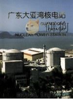 广东大亚湾核电站工程建设图册 1994 PDF电子版封面 7502210199 沈俊雄主编;高胜玉,陈鹤龄副主编