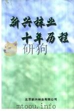 新兴袜业十年历程 PDF电子版封面