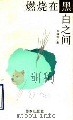 燃烧在黑白之间 1993 PDF电子版封面 7805763348 米福松著