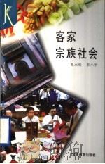 客家宗族社会 1995 PDF电子版封面 753341943X 孔永松,李小平著