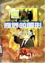 奇妙的图形 开动脑筋的钥匙 1998 PDF电子版封面 7531418258 王守公编著