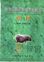 猪常见病诊断与肉品检验图谱（1998 PDF版）