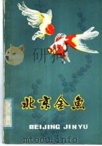 北京金鱼 1981 PDF电子版封面 16071·45 张绍华编著