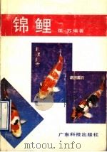 锦鲤（1990 PDF版）