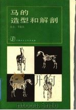 马的造型和解剖 1987 PDF电子版封面 8081·15018 李景凯著