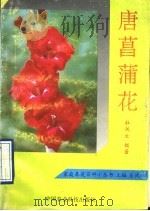 唐菖蒲花卉 1993 PDF电子版封面 7800265315 杜凤文编著