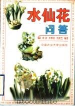 水仙花问答（1999 PDF版）