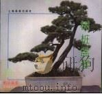 树桩盆景（1996 PDF版）