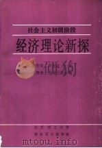 社会主义初级阶段经济理论新探（ PDF版）