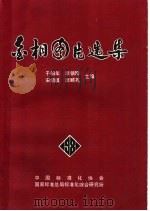金相图片选集 1981 PDF电子版封面 于柏年,李镇刚,宋绍琪,李顺英主编