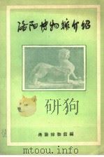 洛阳博物馆介绍（ PDF版）