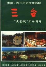 三台:“黄金线”上的明珠 1992 PDF电子版封面