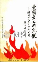 爱国主义的凯歌:湖州人民抗日斗争史料 《湖州文史》第13辑 1995 PDF电子版封面 中国人民政治协商会议浙江省,湖州市委员会文史资料委员会编