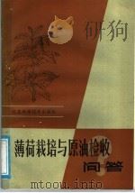 薄荷栽培与原油验收问答（1986 PDF版）