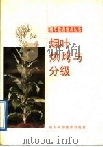 烟叶烘烤与分级 1989 PDF电子版封面 7533104056 谭经勋,陈兆兴编著