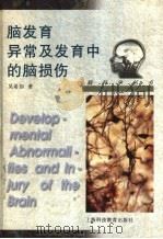 脑发育异常及发育中的脑损伤 1998 PDF电子版封面 7542817604 吴希如著