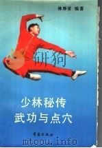 少林秘传武功与点穴 1988 PDF电子版封面 754360213X 林厚省编著