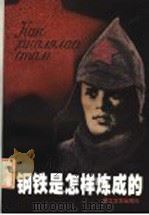 钢铁是怎样炼成的 1997 PDF电子版封面 7533908821 (前苏联)尼·奥斯特洛夫斯基著;李兆林等译