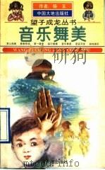 音乐舞美 1994 PDF电子版封面 7800970051 杨玉编著