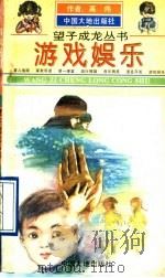 游戏娱乐 1994 PDF电子版封面 7800970051 高炜,施节敏编著