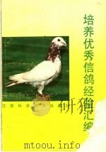 培养优秀信鸽经验汇编 1989 PDF电子版封面 7534506980 胡荫民编著