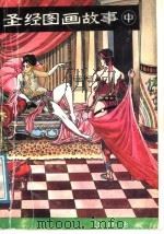 圣经图画故事 中 1991.02 PDF电子版封面 754070649X 宇芝芭译编;王培,丁川绘