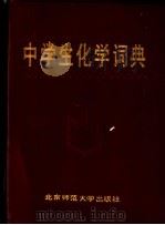 中学生化学词典（1990 PDF版）