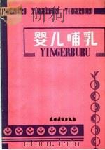 婴儿哺乳   1990  PDF电子版封面  750481069X  金祥祺编译 